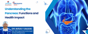 Understanding the Pancreas