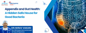 Appendix and Gut Health
